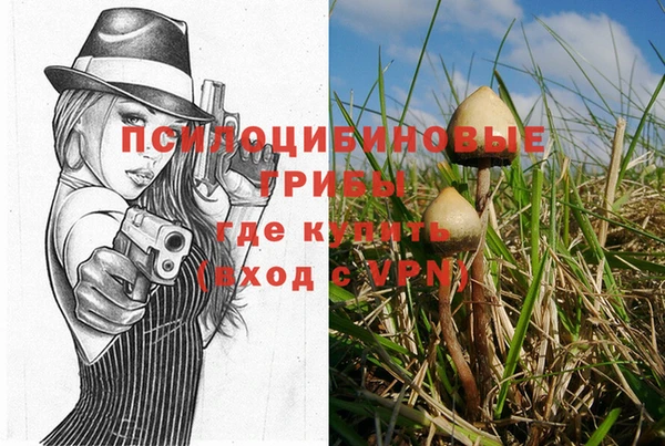 мдпв Володарск