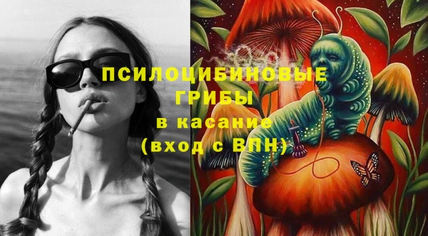 мдпв Володарск
