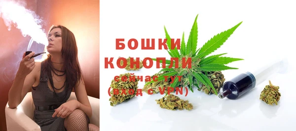 мдпв Володарск
