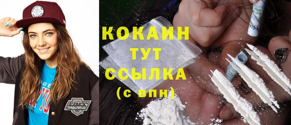мдпв Володарск
