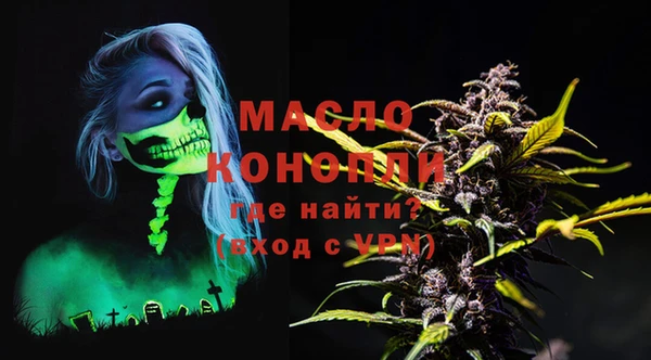 индика Верхний Тагил