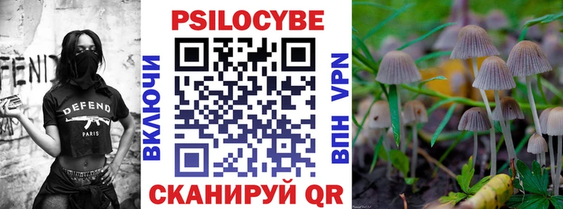 как найти наркотики  MEGA как зайти  shop как зайти  Калач  Псилоцибиновые грибы Psilocybine cubensis 
